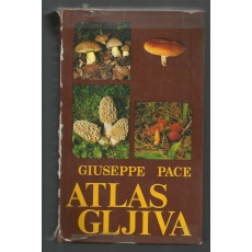 atlas_gljiva_-_giuseppe_pace_01
