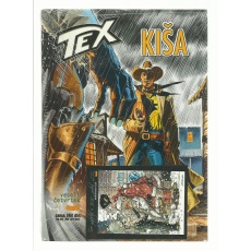 tex_vc_18_01a