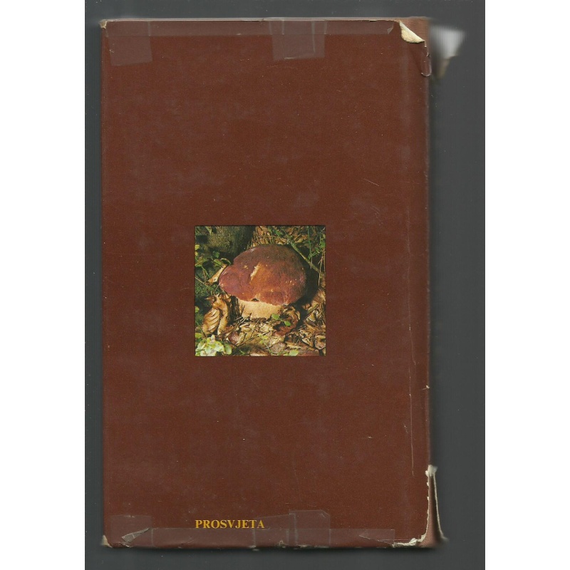 atlas_gljiva_-_giuseppe_pace_02